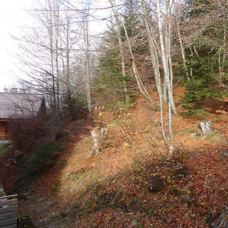 Cosy Pour 4 Pers. A 320m Des Pistes Et Proche Centre - Araches-la-frasse - Fr-1-572-102 * Les Carroz d'Araches