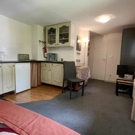 Cosy Pour 4 Pers. A 320m Des Pistes Et Proche Centre - Araches-la-frasse - Fr-1-572-102 Apartment Les Carroz d'Araches