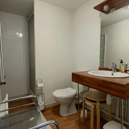 Cosy Pour 4 Pers. A 320m Des Pistes Et Proche Centre - Araches-la-frasse - Fr-1-572-102 * Les Carroz d'Araches